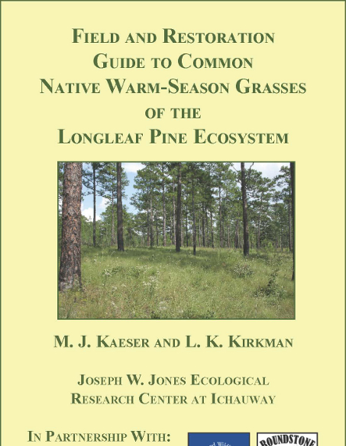 Field and Restoration Guide to Common Native Warm-Season Grasses of the Longleaf Pine Ecosystem