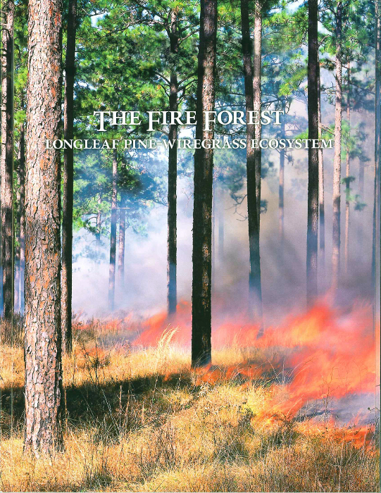 The Fire Forest – Longleaf Pine-Wiregrass Ecosystem
