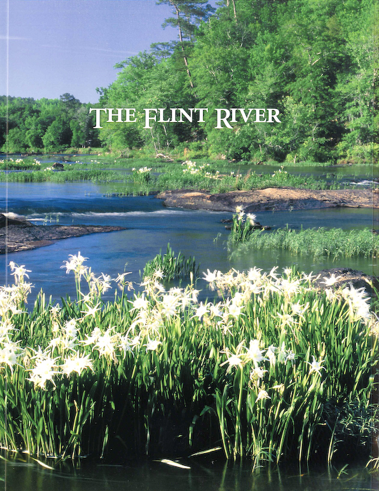 The Flint River