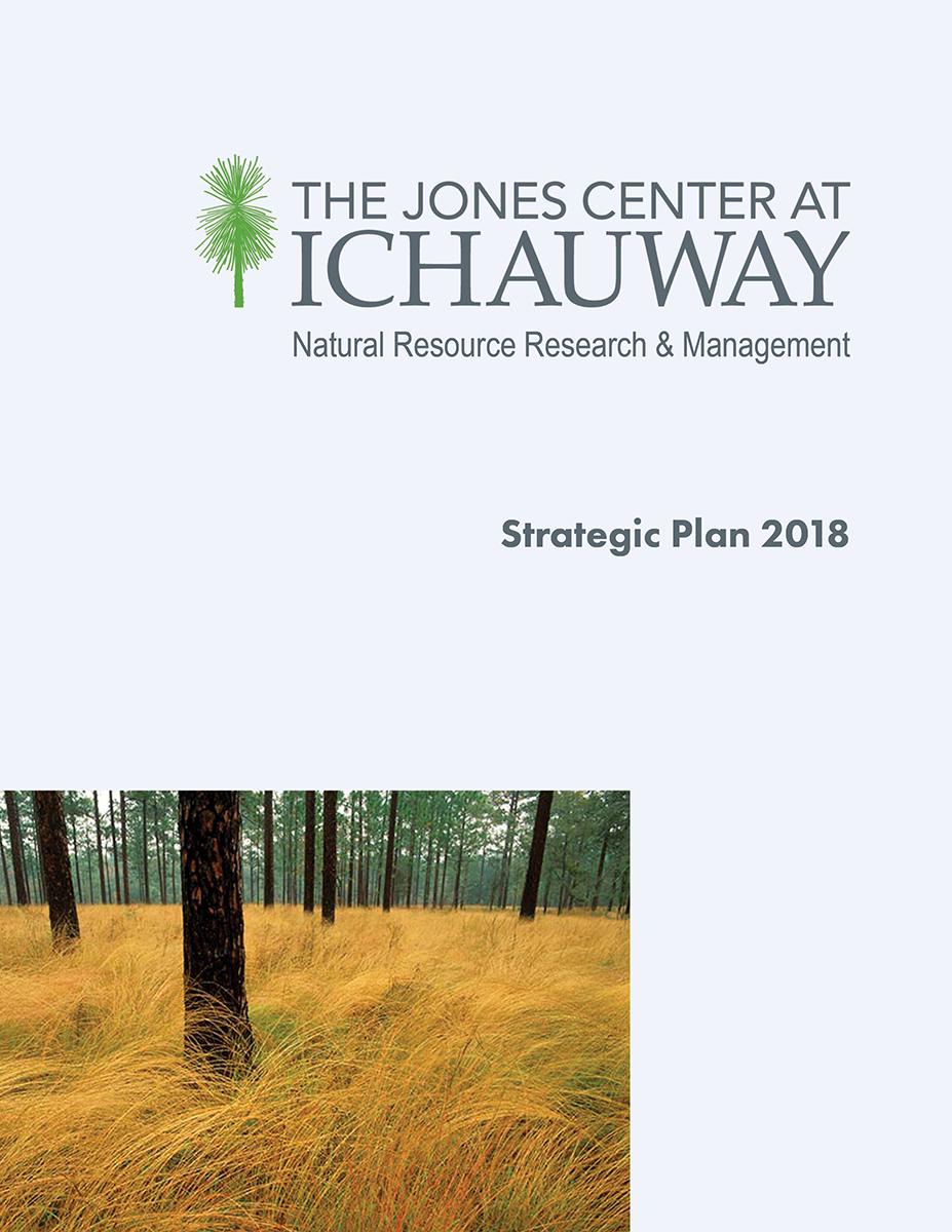Strategic Plan