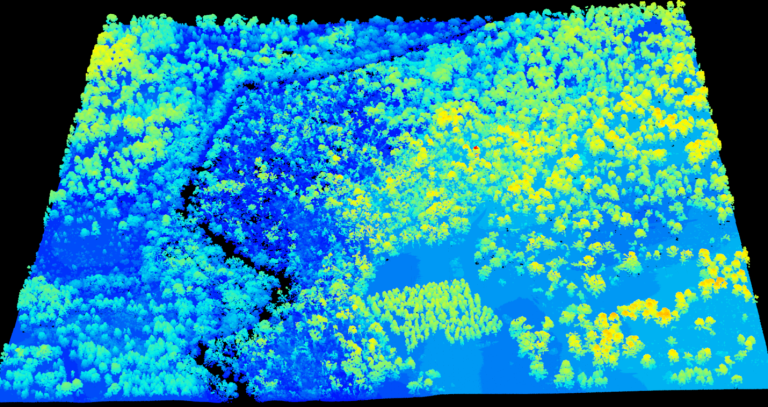 A lidar point cloud from a longleaf pine forest in Newton, GA.