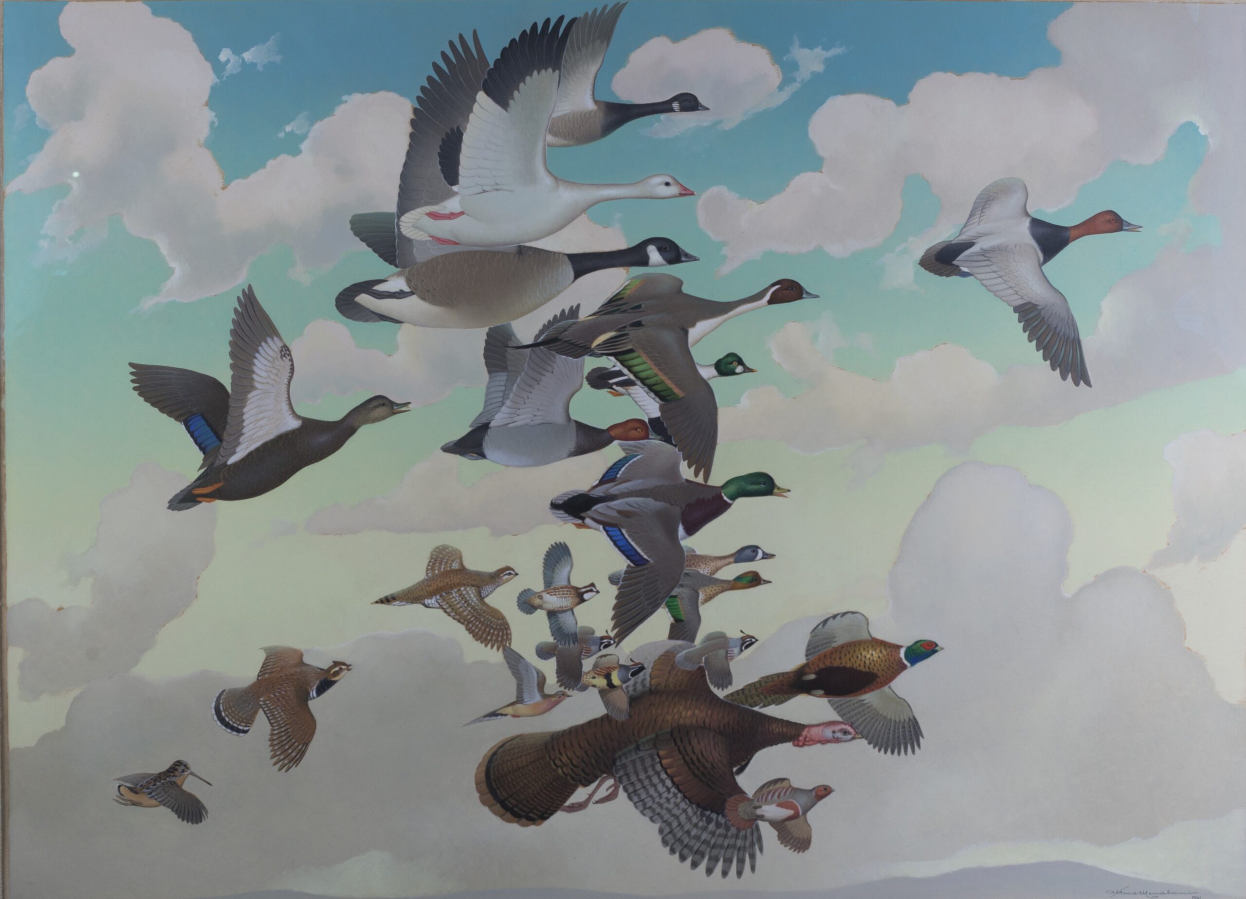 Menaboni's Gamebirds in Flight - Jones Center