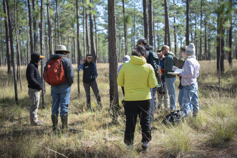 A group of UF students and Dr. David Mason stands in a longleaf pine forest listening to Rachel McGuire, with some taking notes
