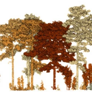 Demonstration of lidar-derived crown scorch prediction for individual trees