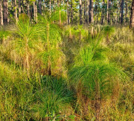 Hurricane_Damage_2364_2366-scaled