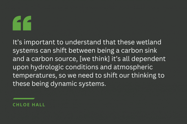 “It’s important to understand that these wetland systems can shift between being a carbon sink and a carbon source,” she said. “[We think] it’s all dependent upon hydrologic conditions and atmospheric temperatures, so we need to shift our thinking to these being dynamic systems.”