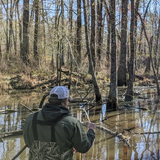 Isolated Wetland