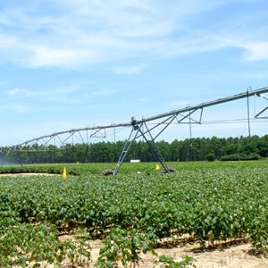 A variable-rate irrigation system being tested at Stripling Irrigation Park, Camilla, GA