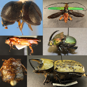 figure3_noletters2e